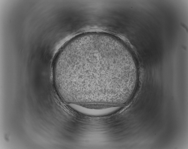 X0000099421167200806060948