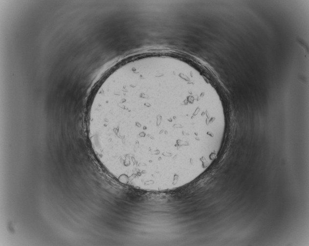 X0000099421168200806060948