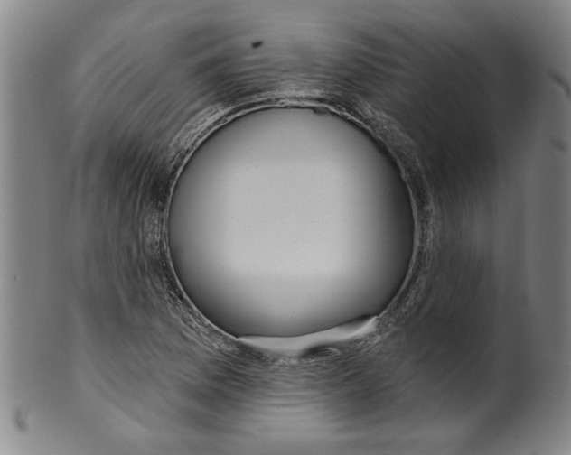 X0000099421169200806060948