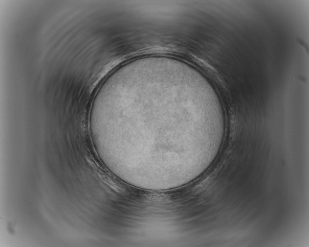 X0000099421170200806060948