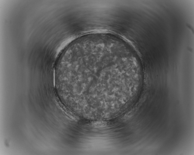 X0000099421171200806060948