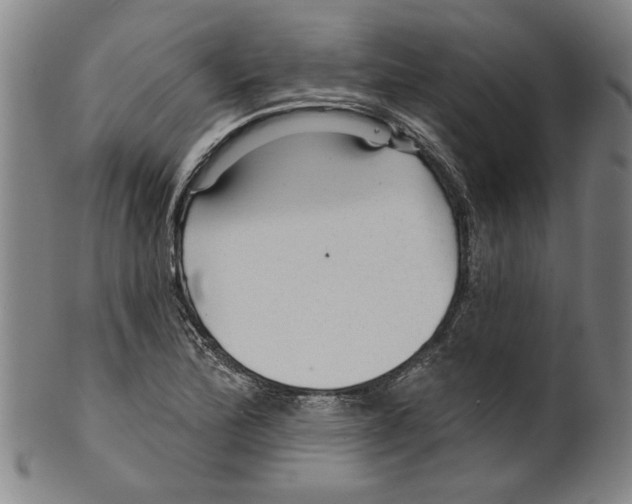 X0000099421172200806060948