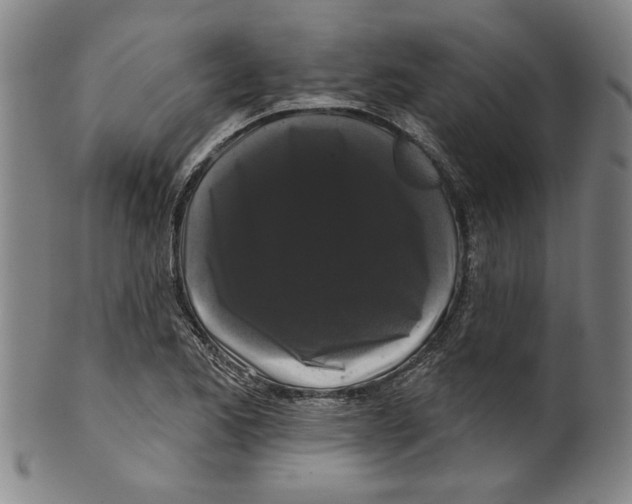 X0000099421173200806060948