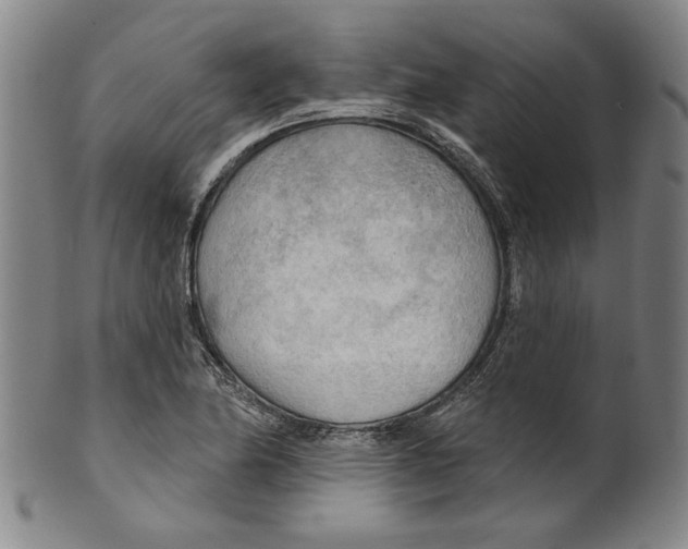 X0000099421174200806060948