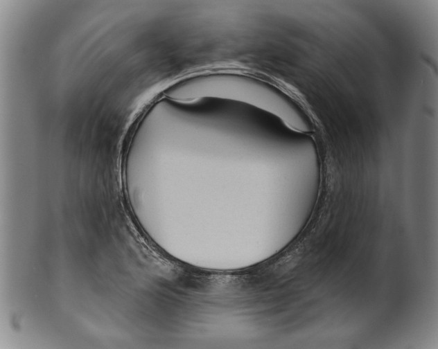 X0000099421176200806060948