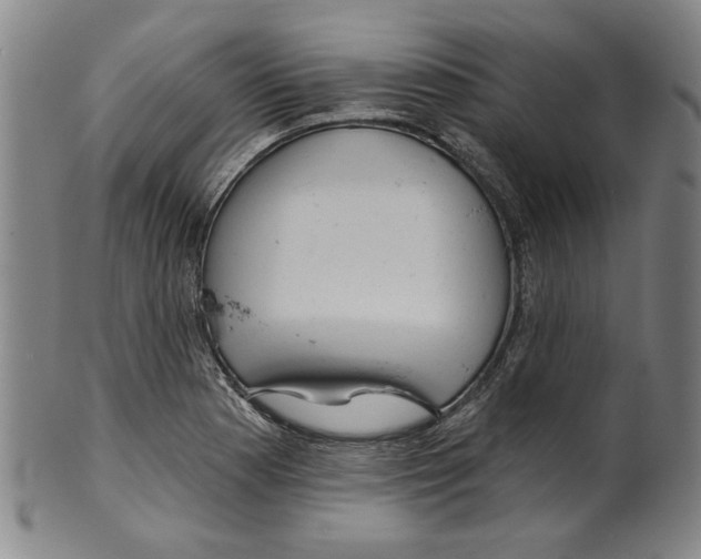 X0000099421177200806060948