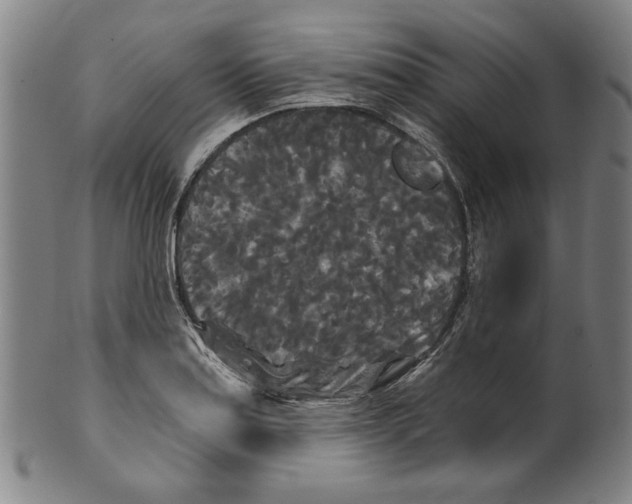 X0000099421179200806060948
