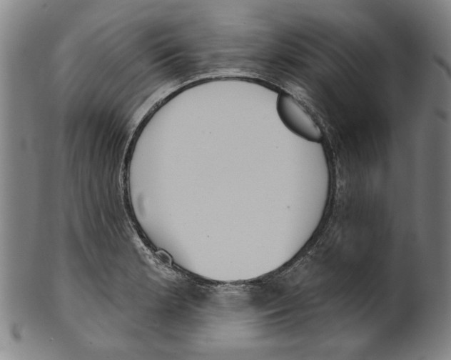X0000099421181200806060948