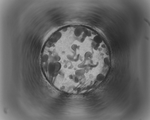 X0000099421183200806060948