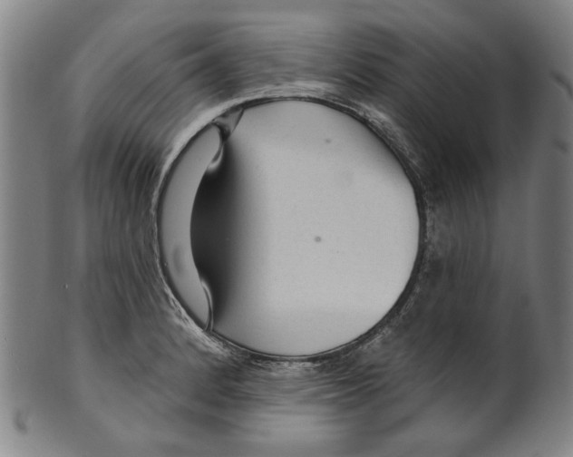X0000099421184200806060948