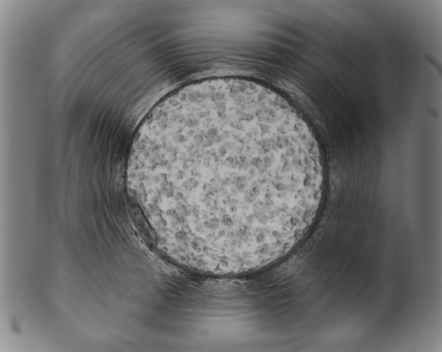 X0000099421185200806060948