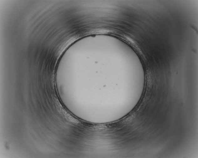 X0000099421186200806060948