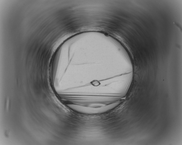 X0000099421187200806060948