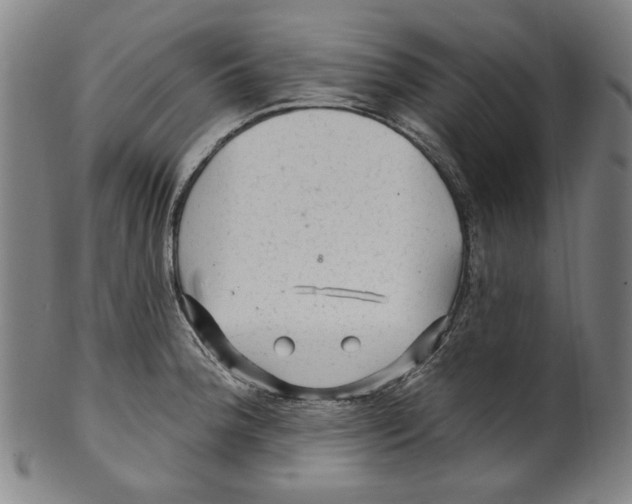 X0000099421188200806060948