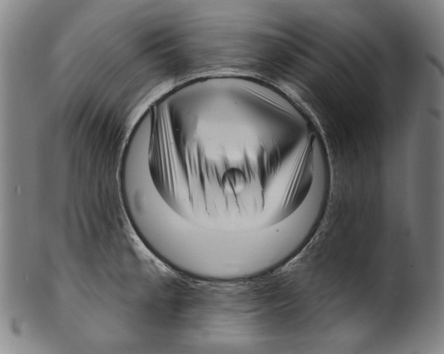 X0000099421189200806060948