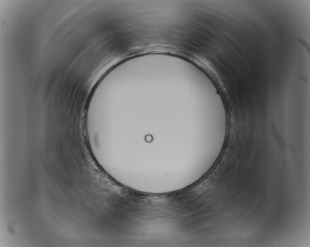 X0000099421190200806060948