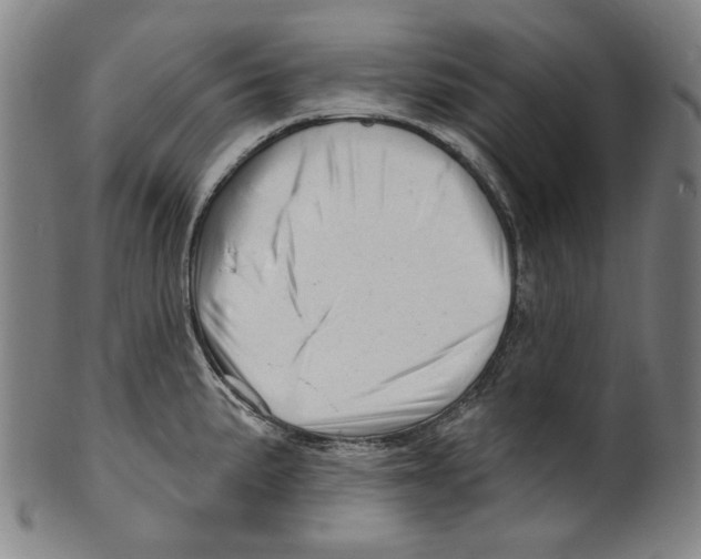 X0000099421191200806060948
