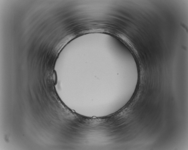 X0000099421193200806060948