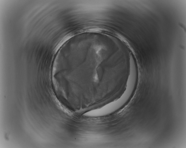 X0000099421194200806060948