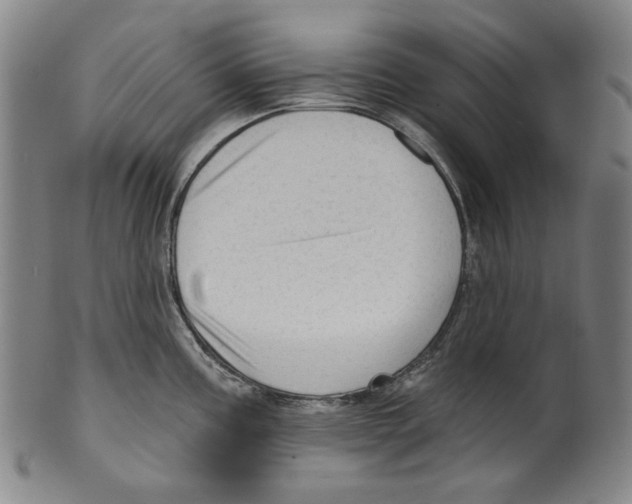 X0000099421195200806060948