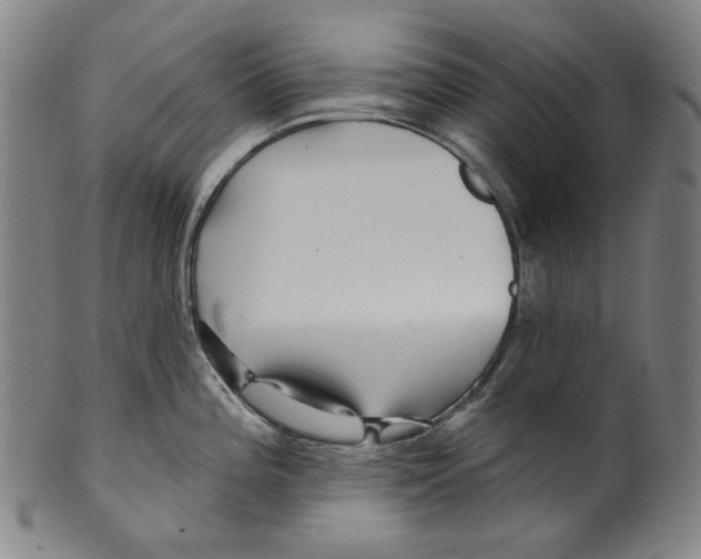 X0000099421196200806060948