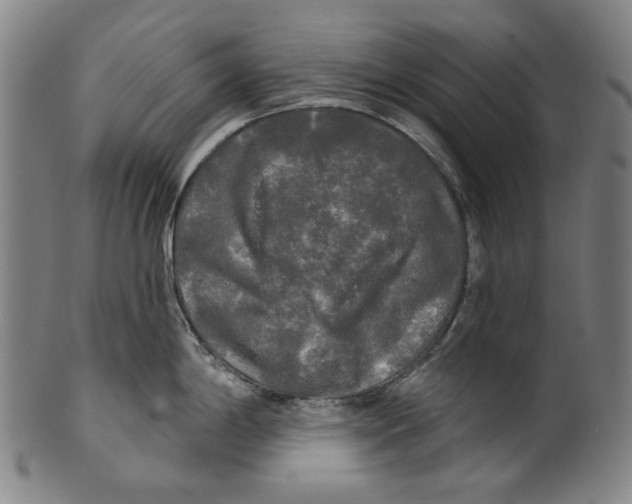 X0000099421198200806060948
