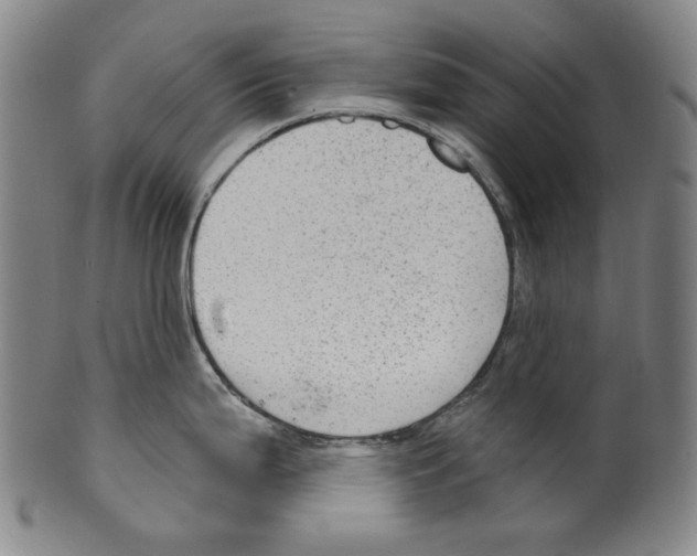 X0000099421199200806060948