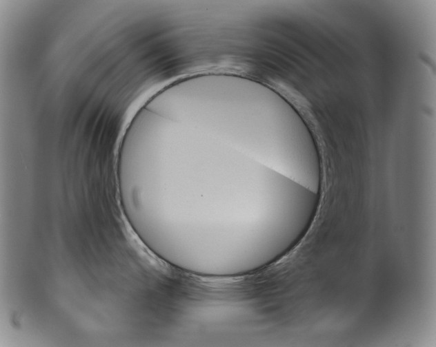 X0000099421200200806060948