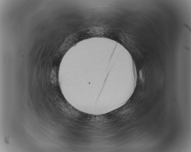 X0000099421203200806060947