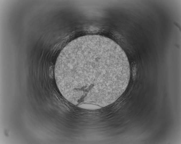 X0000099421204200806060947