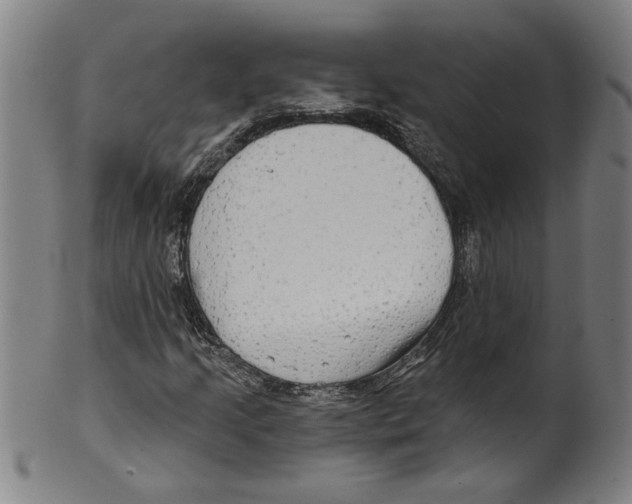 X0000099421205200806060947