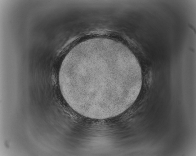 X0000099421206200806060947