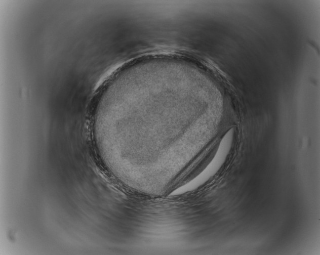 X0000099421208200806060947