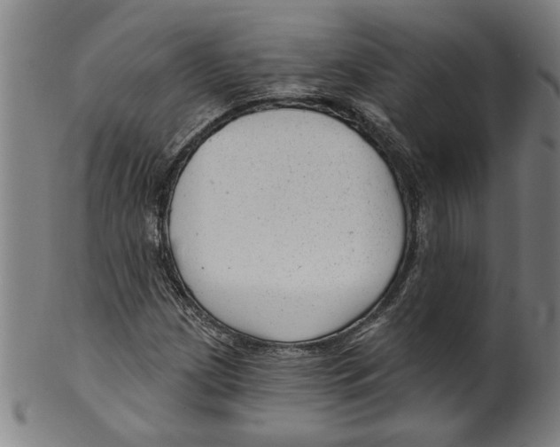 X0000099421209200806060947