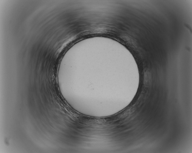 X0000099421210200806060947