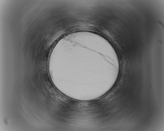 X0000099421211200806060947