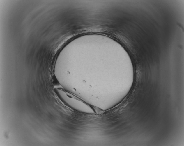 X0000099421212200806060947