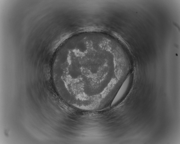 X0000099421213200806060947