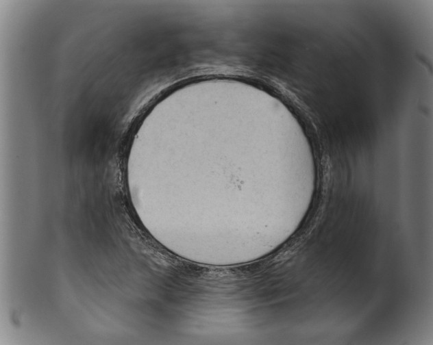 X0000099421215200806060947
