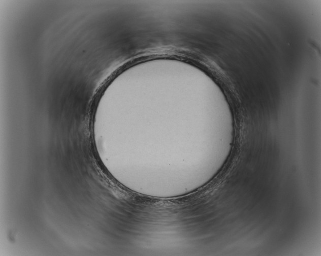 X0000099421216200806060947