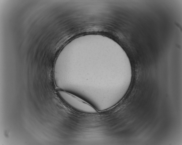 X0000099421217200806060947