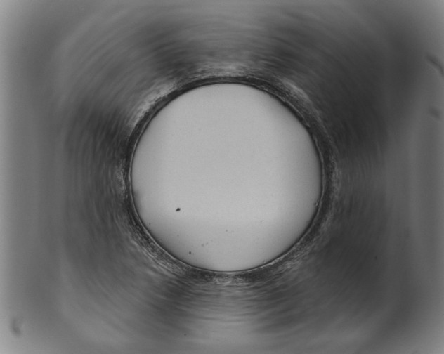 X0000099421218200806060947