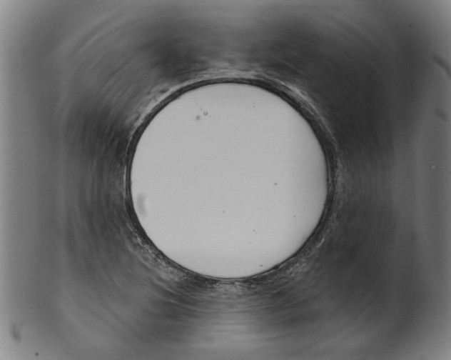 X0000099421220200806060947