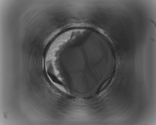 X0000099421221200806060947