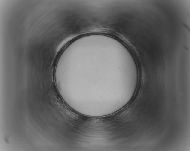 X0000099421222200806060947