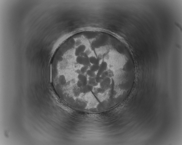 X0000099421223200806060947