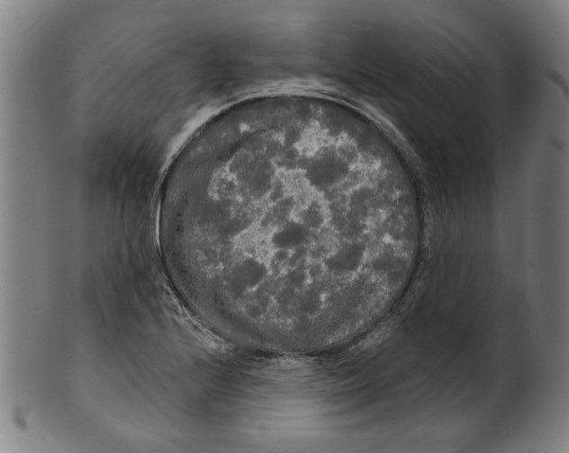 X0000099421224200806060947