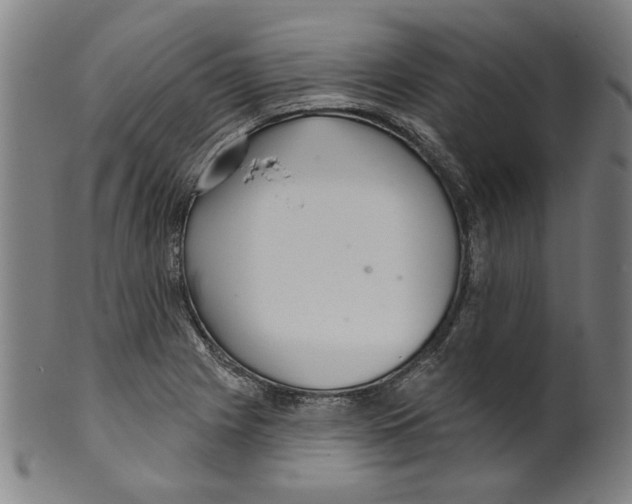 X0000099421225200806060947