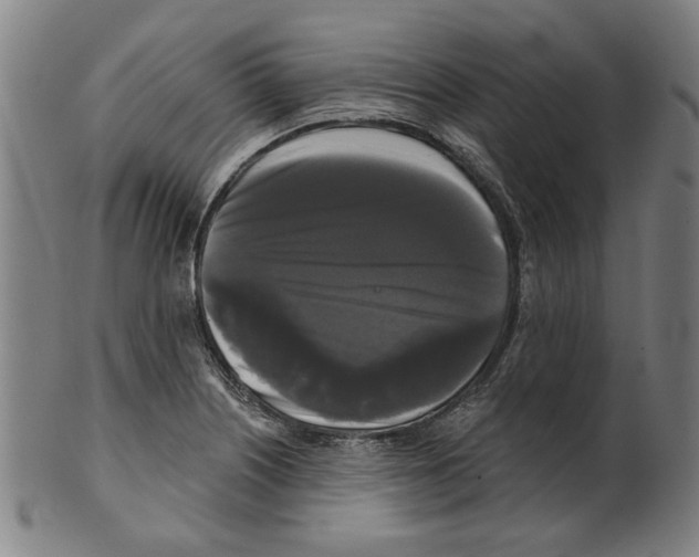 X0000099421226200806060947