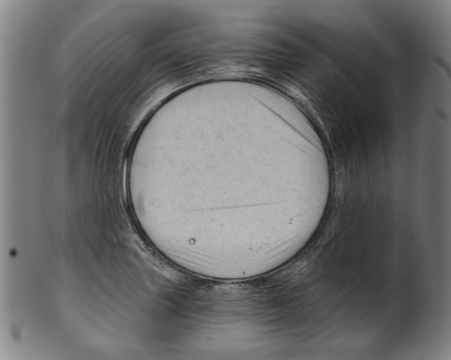 X0000099421227200806060947